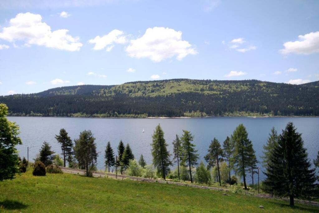 Fewo Sperlingskauz Mit Pool, Sauna & Hochschwarzwaldcard Schluchsee Exterior photo