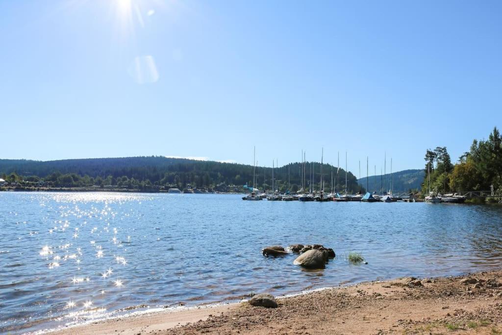 Fewo Sperlingskauz Mit Pool, Sauna & Hochschwarzwaldcard Schluchsee Exterior photo