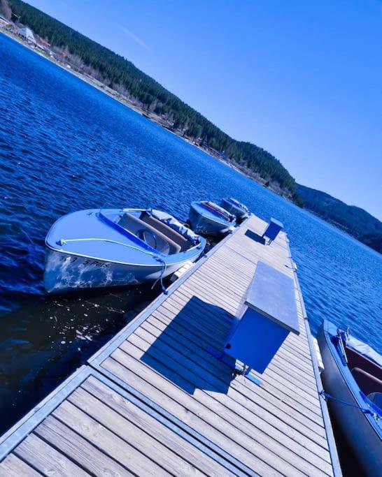 Fewo Sperlingskauz Mit Pool, Sauna & Hochschwarzwaldcard Schluchsee Exterior photo
